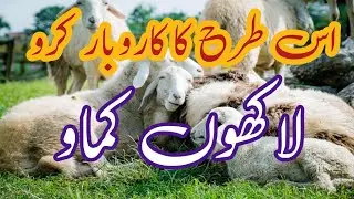 Is trha ka karobar kro AP bhe .. krorun kmao