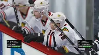 NHL13 (Xbox360) Blackhawks vs Sabres Part2