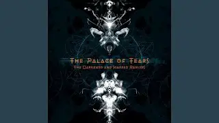 Shadows of Whispering Phantoms (Lingering Shadows Acoustic Mix)