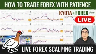 How to Trade Forex with Patience 💹 Kyota's Scalping Live Trading