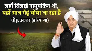 गांव धौड़, झज्जर (हरियाणा) में 500-700 एकड़ जमीन पर पहली बार बिजाई संभव हुई है। SA News Channel