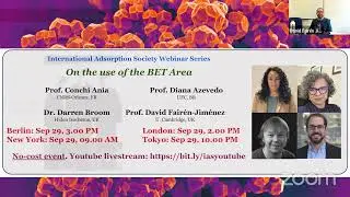 IAS Webinar 3.7: On the use of the BET Area