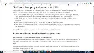 Canada Emergency Business Account (CEBA) - Program Overview