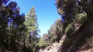 Sutter Creek-Volcano Rd. with song