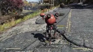 *Tyler County Fair Traveling Barker* - Fallout 76 Random Encounter (Travel)