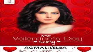 Agmal Leila Safy Makram اجمل ليله صافي مكرم 2014