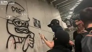 Hong Kong Protesters using Pepe the Frog as a symbol of freedom