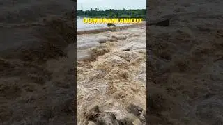 Barrish Flood Arpa River in Bilaspur arpa nadi Chhattisgarh #bilaspur #flood #barrish #arpa