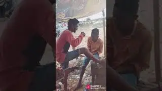 Poda punda