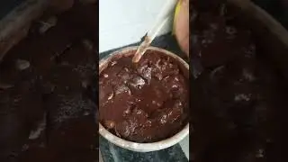 #grow rubber plant in water #rubberplant germination #rubberPlantGoodForVastu