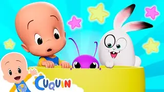 Insectos M&aacute;gicos  | Cleo y Cuqu&iacute;n: canciones y v&iacute;deos educativos