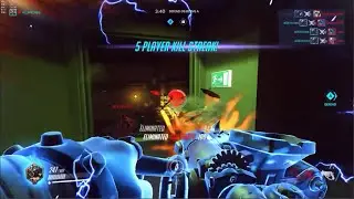 NANO BOOSTED ROADHOG ULTIMATE WHOLE HOG [OVERWATCH PTR]