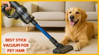 ✅ Top 5 Best stick vacuum for pet hair 🐶🐱  Tested & Reviewed