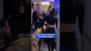 Influencer brings huge Great Dane on flights