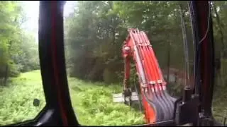 Bush master hard at work