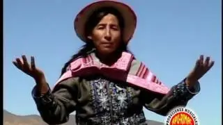 Flor andina de chumbivilcas 