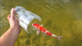 Making a water bottle fishing trap 🎣🎣