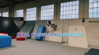 WALL BACKFLIP PROGRESSION 2 DAYS