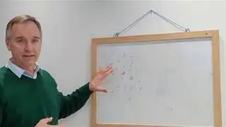 Introducci&oacute;n al diagn&oacute;stico gen&oacute;mico en microbiolog&iacute;a. Laboratorio de habilidades 05 - Injuria