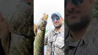 River fishing #fishing #carp shorts