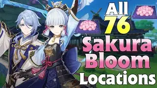 All 76 Sakura Bloom Locations | Ayaka, Ayato Ascension Material | Fast and Efficient Farming Route