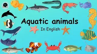 #auaticanimalsnameinenglish #auaticanimals #aquatic @Maggie Byes