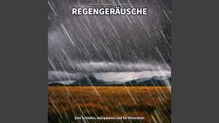 Regenger&auml;usche, Pt. 19