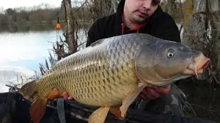 P&ecirc;che de la carpe en Hiver Magnetikbaits