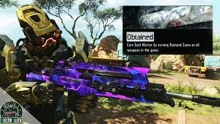 Black Ops 3 - What Happens When You Achieve Dark Matter Camo? | SECRET 