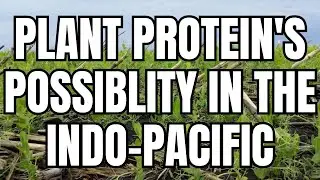 The opportunity &mdash; and challenges &mdash;  of supplying the Indo-Pacific region with Canadian plant protein