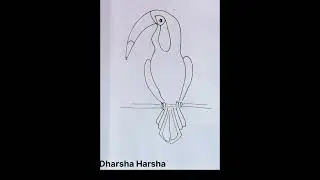 Toucan Bird Drawing for kids| Easy Bird Drawing for Beginners #drawingforkids