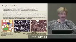 Dr. Kitty Milliken - 1C Basic Architecture of Particulate Sedimentary Rocks | Grains