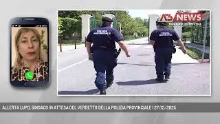 ALLERTA LUPO, SINDACO IN ATTESA DEL VERDETTO DELLA POLIZIA PROVINCIALE | 27/12/2025