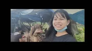 First vlog in my Brgy. Cale(TIWI, ALBAY)