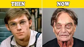 M&aacute;s de 50 actores guapos de los 60 a los 80 que te sorprender&aacute;n: antes y despu&eacute;s de 2025