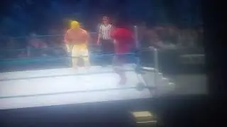ECW/TNA World Tour: Tokyo Japan Part 11