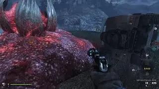 POC Glitch Through First Hive 👏🤫