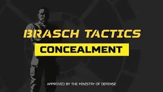 Brasch Tactics - Concealment | Super Destroyer Video | Helldivers 2