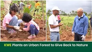 Can Businesses Heal the Planet? KWE Is Showing How I Grow Billion Trees