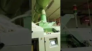 dhaga plant comber mc