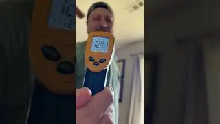 Man Takes Temperature Of Sunbathing Kitty