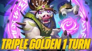 Getting 3 Golden Darkgaze Elder in 1 Turn Wins Us the Game