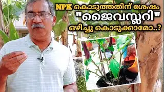 Can we mix Factamfos with Potash | DAP & MAP Fertilizer difference | Jaiva Slurry | QA - 74