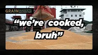 US Soybean Shipments are Down 46% This Year...Can We Recover??