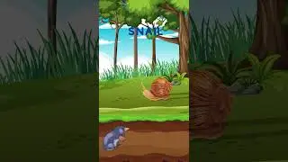 Simple words about the mole I English for kids
