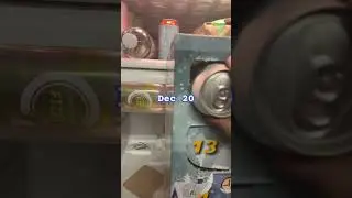 Costco Beer Advent Calendar Dec 20