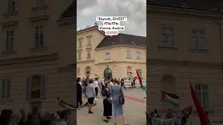 🇵🇸🍉🇦🇹 Vienna, Austria Pro Palestinian Protest