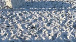 8k seamless material - grass under snow