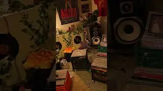 Spinning Vinyl wit DBZ articulation: Missing Persons Mental Hopscotch (🙏Like & Subscribe) #vinyl