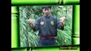Pamacan, the Sundanese tiger fighting system Mpeg2